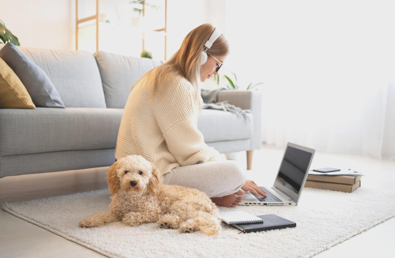 Grundlagen emotionaler Intelligenz